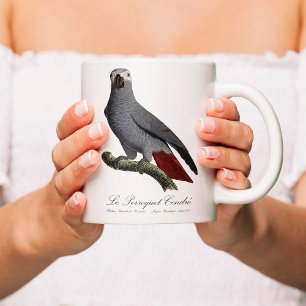 Caneca Mágica Papagaio cinzento africano, Psittacus erithacus, v
