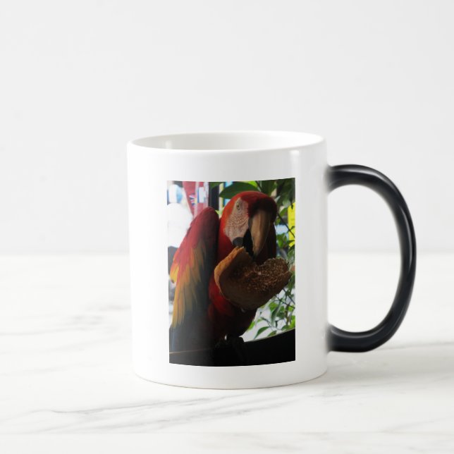 Caneca Mágica Papagaio-De-Maca-Escarlate Comendo Sorrada (Direita)