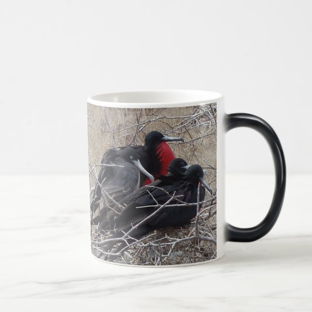 Caneca Mágica Pássaros de fragata de Galápagos (Direita)