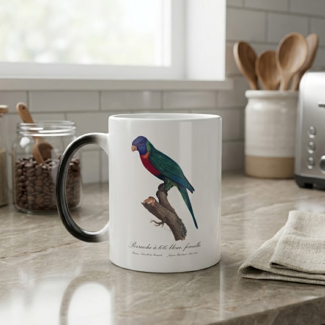 Caneca Mágica Periquito-arco-íris fêmea, Trichoglossus moluccanu (Perruche a tete bleue, femelle / Rainbow lorikeet, female. Color Morph Mug)