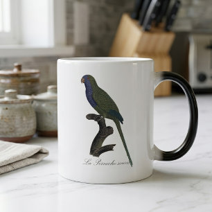 Caneca Mágica Periquito-verde ou Caturrita, Myiopsitta Monachus