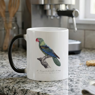 Caneca Mágica Perroquet a bec couleur cantou / papagaio-Excelent