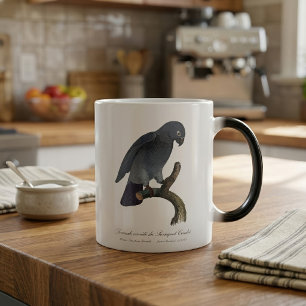 Caneca Mágica Perroquet Cendre / Papagaio-cinza da África Timneh