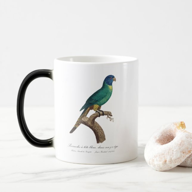 Caneca Mágica Perruche a tete bleue/Rainbow lorikeet, juvenil (Com Donut)