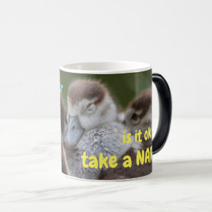 Caneca Mágica Quanto tempo depois de acordar está tudo bem para
