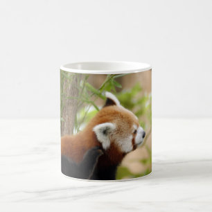 Caneca Mágica red-panda-035
