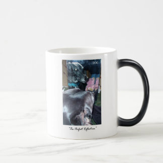 Caneca Mágica Reflexão perfeita - deus/cão