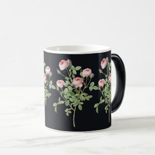 Caneca Mágica Rosa Rosa Rosa Rosa Rosa Blossom, Beleza do Jardim
