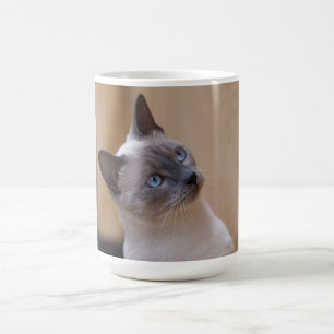 Caneca Mágica Siamese Cat