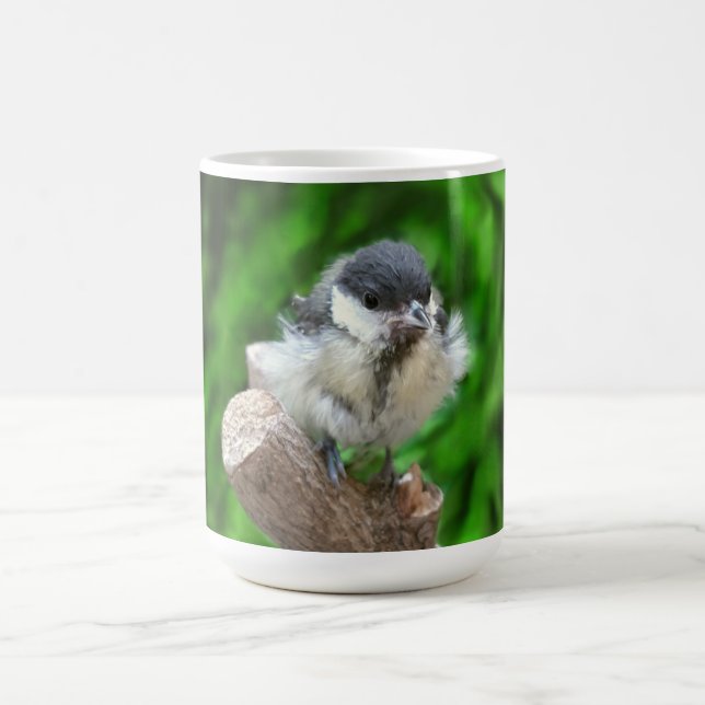 Caneca Mágica Tidi, meu Pássaro, o Parus Major (Center)