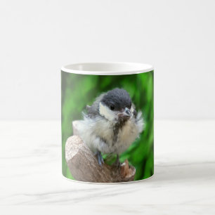 Caneca Mágica Tidi, meu Pássaro, o Parus Major