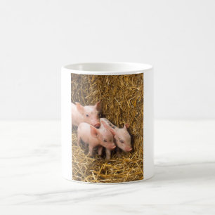 Caneca Mágica Três Pequenos Porcos