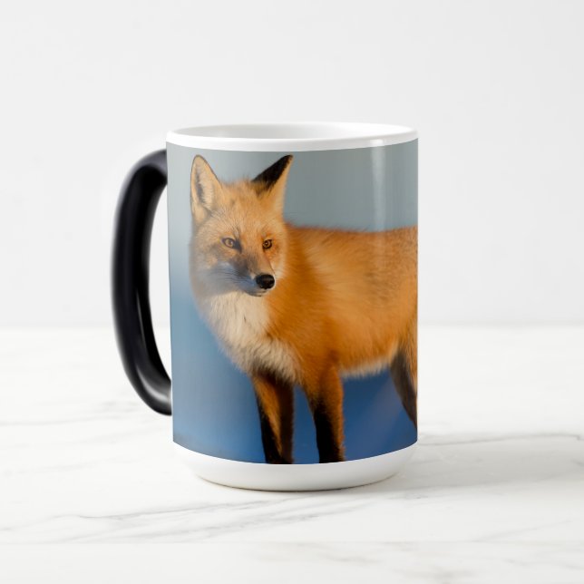 Caneca Mágica Tumba de Raposa Marrom (Frente Esquerda)