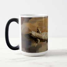 Um Lagarto Café