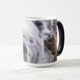 Caneca Mágica Urso Koala