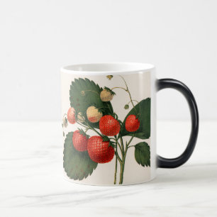 Caneca Mágica Vintage RedBoston Pine Strawberry