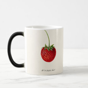 Caneca Mágica Vintage Strawberry
