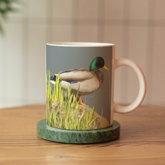 Caneca Mallard Drake Nature Foto (In Situ Coaster)