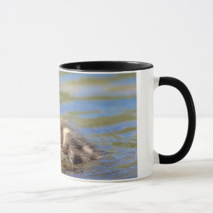 Caneca Mallard Ducking