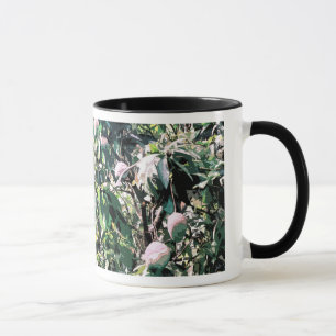 Caneca Mango Tree