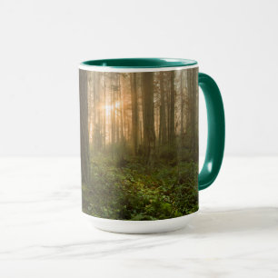 Caneca Manhã nevoenta noroeste pacífica da floresta