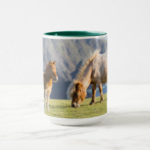 Caneca Mare com Foal, Ilhas Shetland, Escócia