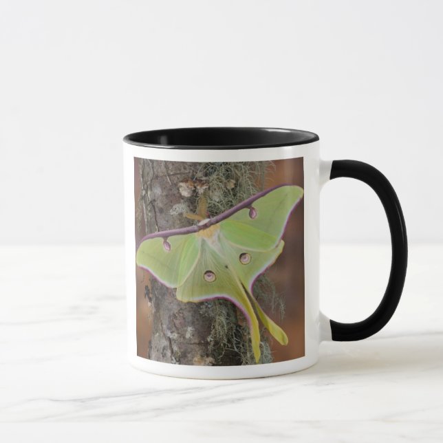 Caneca Mariposa-da-seda Luna (Direita)