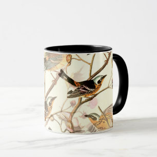 CANECA MASSA DE AVES PERCHIDAS