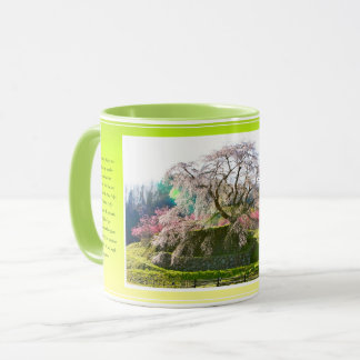 Caneca Matabei-Zakura Weeping Cherry Tree