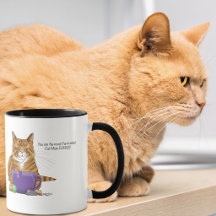 Melhor Mãe de Gato de Todos os Tempos!