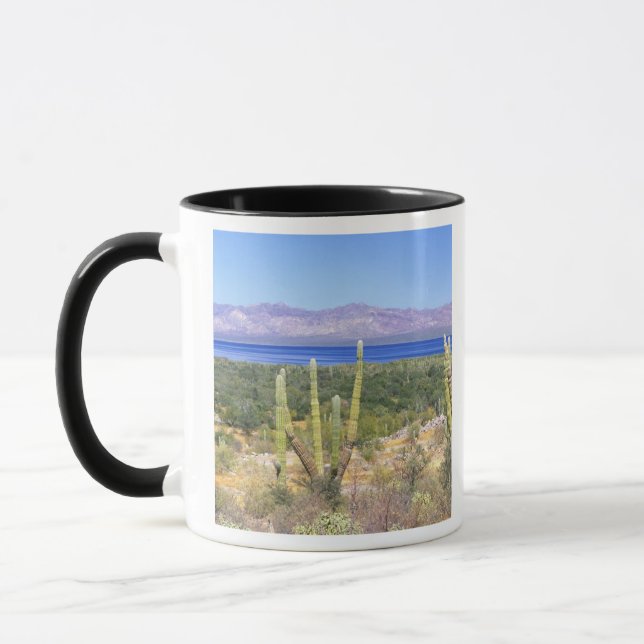 Caneca México, Baja California Sur, Cardon Cactus em (Esquerda)
