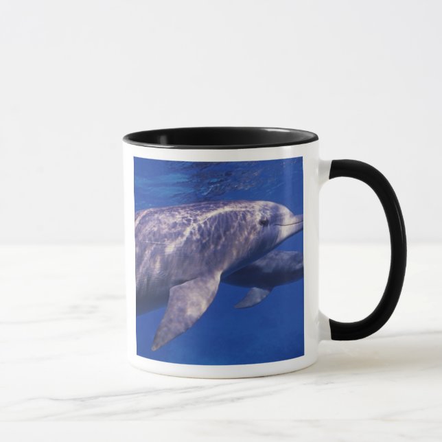 Caneca México, Cozumel. Golfinho Nariz de Garrafa, Tursio (Direita)