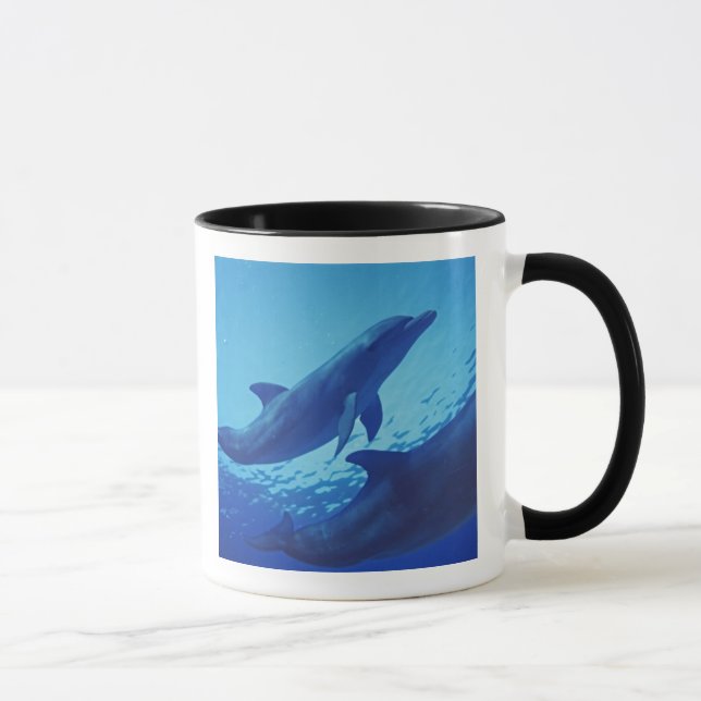 Caneca México, Cozumel. Golfinho-nariz-de-garrafa, Tursio (Direita)