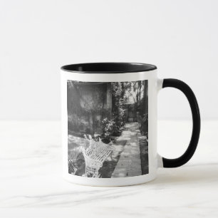 Caneca MÉXICO, D.F., Cidade do México, COYOACAN: Banco 