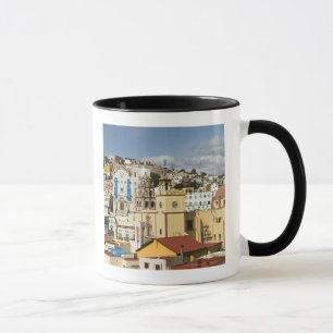 Caneca México, Estado de Guanajuato, Guanajuato. Basíli