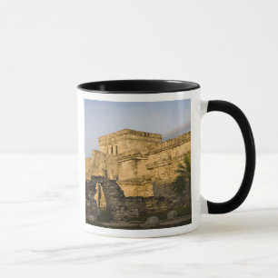 Caneca México, Quintana Roo, Península de Yucatán,
