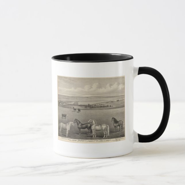 Caneca Mill Brae Ranch, Kansas (Direita)