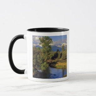 Caneca Mission Creek no National Bison Range em