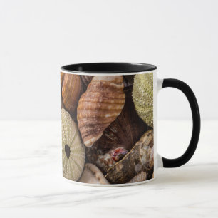 Caneca Mistura de canas