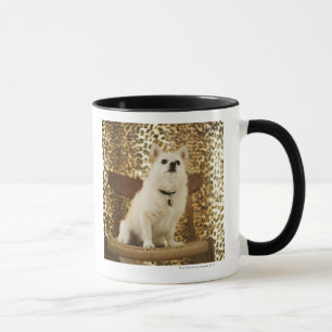 Caneca Mistura de Pomeranian