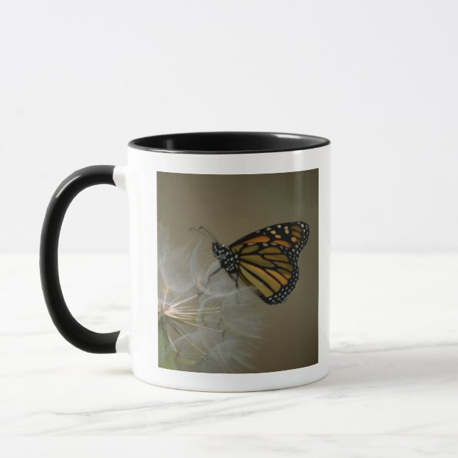 Caneca Monarca no dente-de-leão (Esquerda)