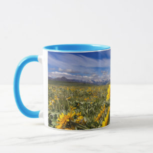 Caneca Montanha Rochosa