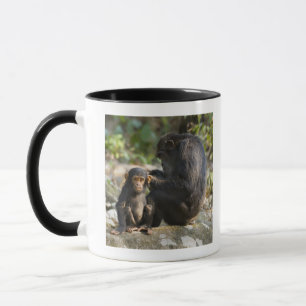 Caneca Montanhas parque nacional de Mahale, Tanzânia
