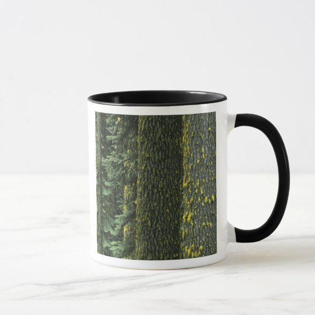 Caneca Monte Ashland, Floresta Nacional Rogue River, (Direita)