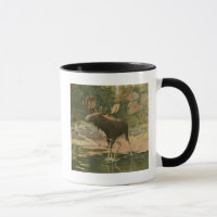 Moose Caminhando na Água
