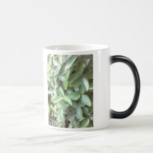 Caneca morphing da foto