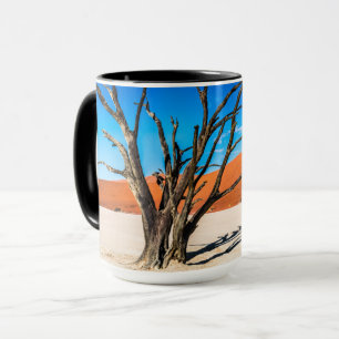 Caneca Morto em Deadvlei, Namíbia
