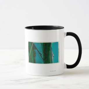 Caneca Mt. Capa e ponte de um estado a outro nos salmões