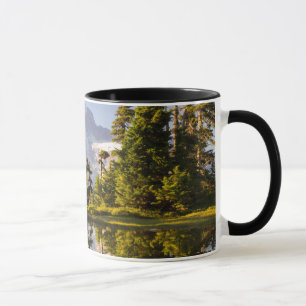 Caneca Mt. Rainier refletido em um tarn perto de Plummer