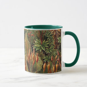 Caneca Muscinae Antigos, Plantas de Musgo por Ernst Haeck